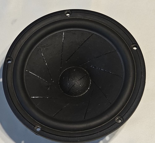 Midwoofer scanspeak - midwoofer,