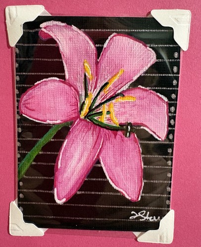 Giglio rosa originale aceo - giglio,