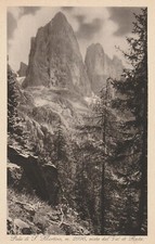 C4 - Cp Cartolina Pala di S. Martino Visto dal Val di Roda - Fp Nvg