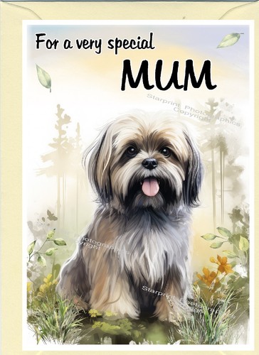 Lhasa apso biglietto bianco - lhasa,