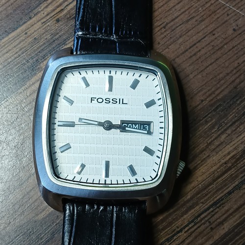 Vintage fossil arkitekt - fossil,