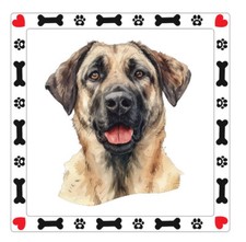 Adesivo cane pastore Kangal