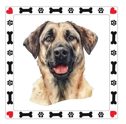 Adesivo cane pastore kangal - cane,