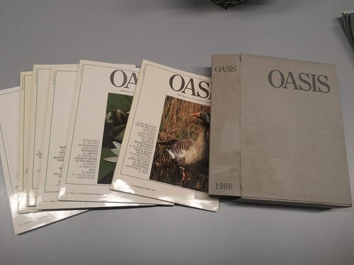 Oasis musumeci lotto - -, riviste