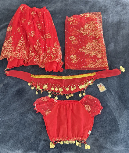 Costume danza del ventre