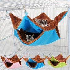 Furetto ratto scoiattolo - ratto,