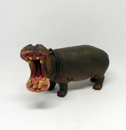 Toro ippopotamo toro