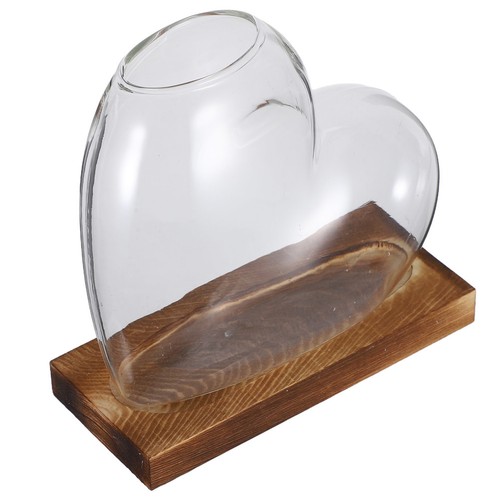 Terrario con base legno - con, in