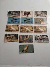 12 FIGURINE FERRERO 9 DIVERSE