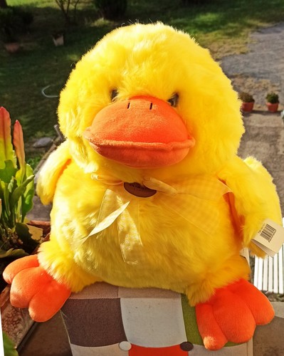 Upim blukids peluche - upim, papero