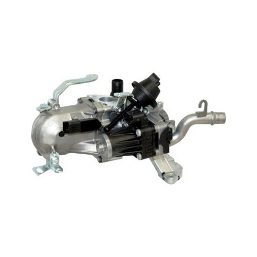 Complessivo egr per citroen - complessivo,