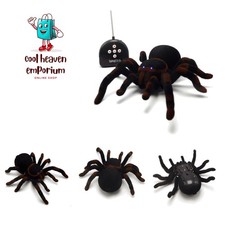 Emozionante grande tarantola