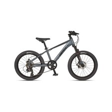 BICICLETTA BRN MTB 20"