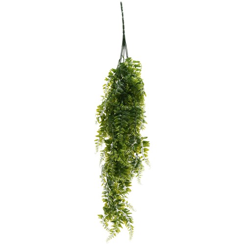 Pezzi piante felci appese - pezzi,
