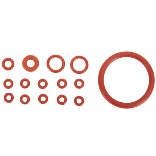 Kit manutenzione ring - o,