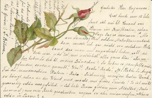 Stupenda cartolina svizzera - stupenda,