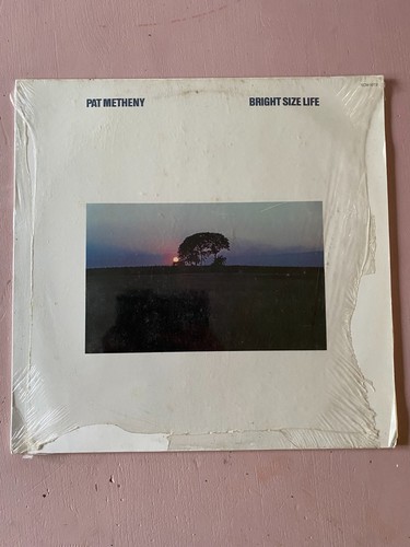 Pat metheny bright size - bright, life