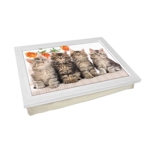 Carino gattini capelli lunghi - capelli,