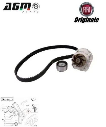 Kit distribuzione pompa - kit,