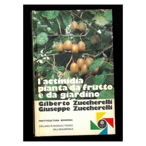 Actinidia pianta frutto - pianta,