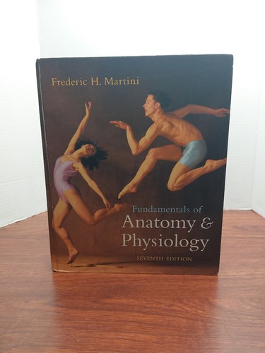 Fundamentals anatomy - fundamentals, of
