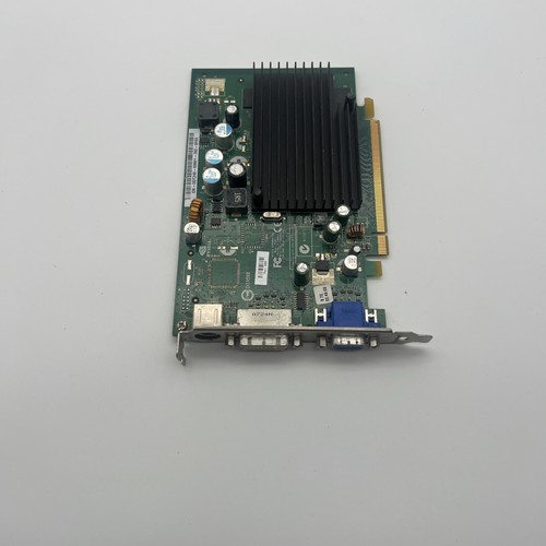 Scheda video dell geforce - video, 7300