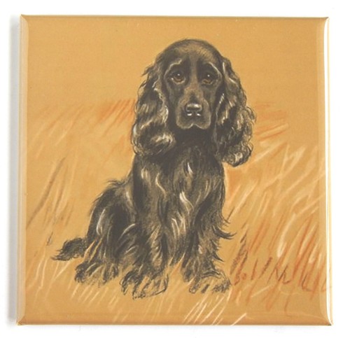 Magnete frigo per cani - frigo,