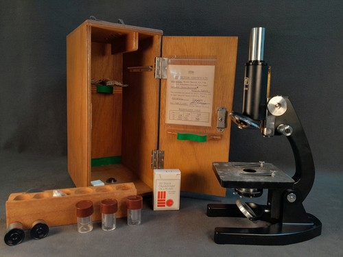Microscopio monoculare - microscopio,