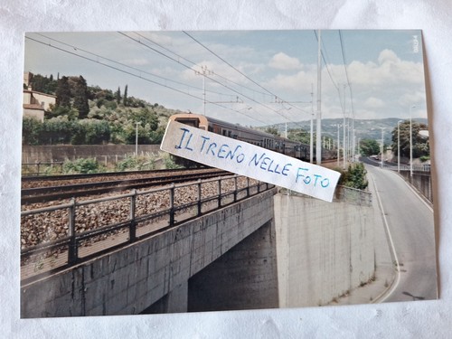 Fotografia stazione pisa - fotografia,