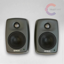 Genelec 6010B BPM Speakers