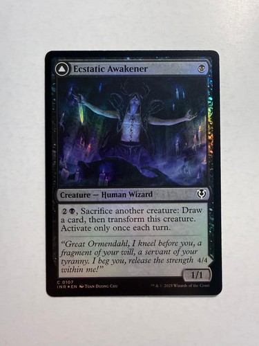 Ecstatic awakener 107 - awakener,