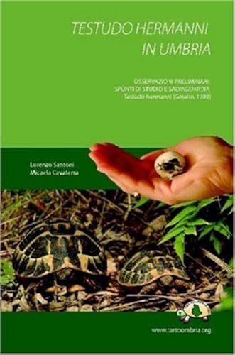 Testudo hermanni umbria - testudo, in