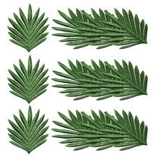 Foglie palma verde - foglie,