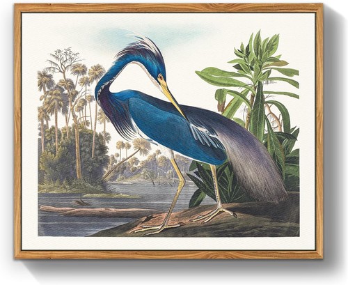 Quadro tela airone - airone, blu