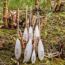 Sbirulino galleggiante trota