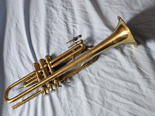 Champion tromba ottone - champion,