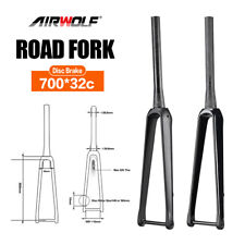 Forcella rigida bici da strada