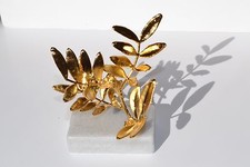 Ramo di vero albero Schinus