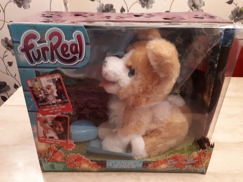 Scatola furreal lexie - scatola**furreal,