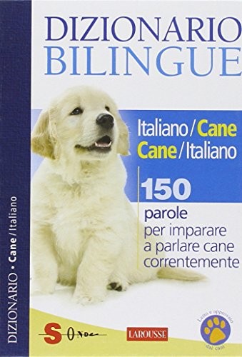Dizionario bilingue - dizionario,