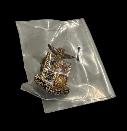 Distintivo spilla araldico - spilla,