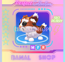 MFR GATTO MUNCHKIN - ACQUISTA