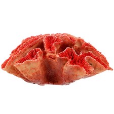  Coralli Decorativi Forniture Per Acquari Decorazione Di Resina D'acquario