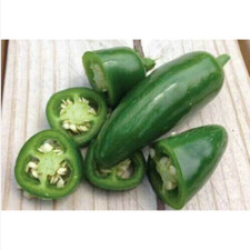 JALAPENO, 25 semi peperoncino