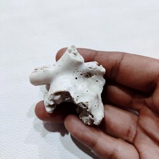 Vintage corallo lucido grezzo