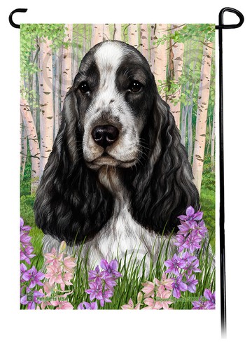 English cocker spaniel spring - english,