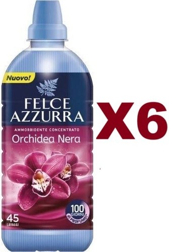 Felce azzurra - pz,