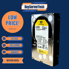WD4000FYYZ Western Digital RE
