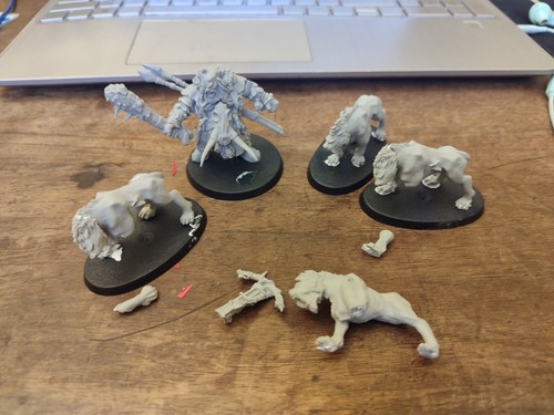 Ogre kingdoms icebrow - ,