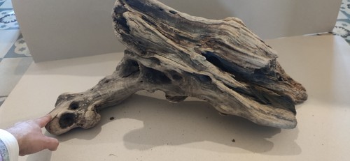 Legno per acquario terrario - per, acquario/terrario